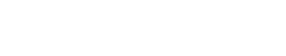 BEST-HP Logo